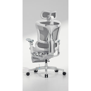 西昊 C500/C500i 一代人體工學椅|HomeWorker 香港到倉 QC — image 1
