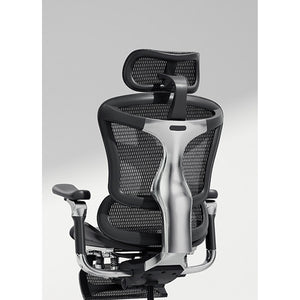 西昊 C500/C500i 一代人體工學椅|HomeWorker 香港到倉 QC — image 2