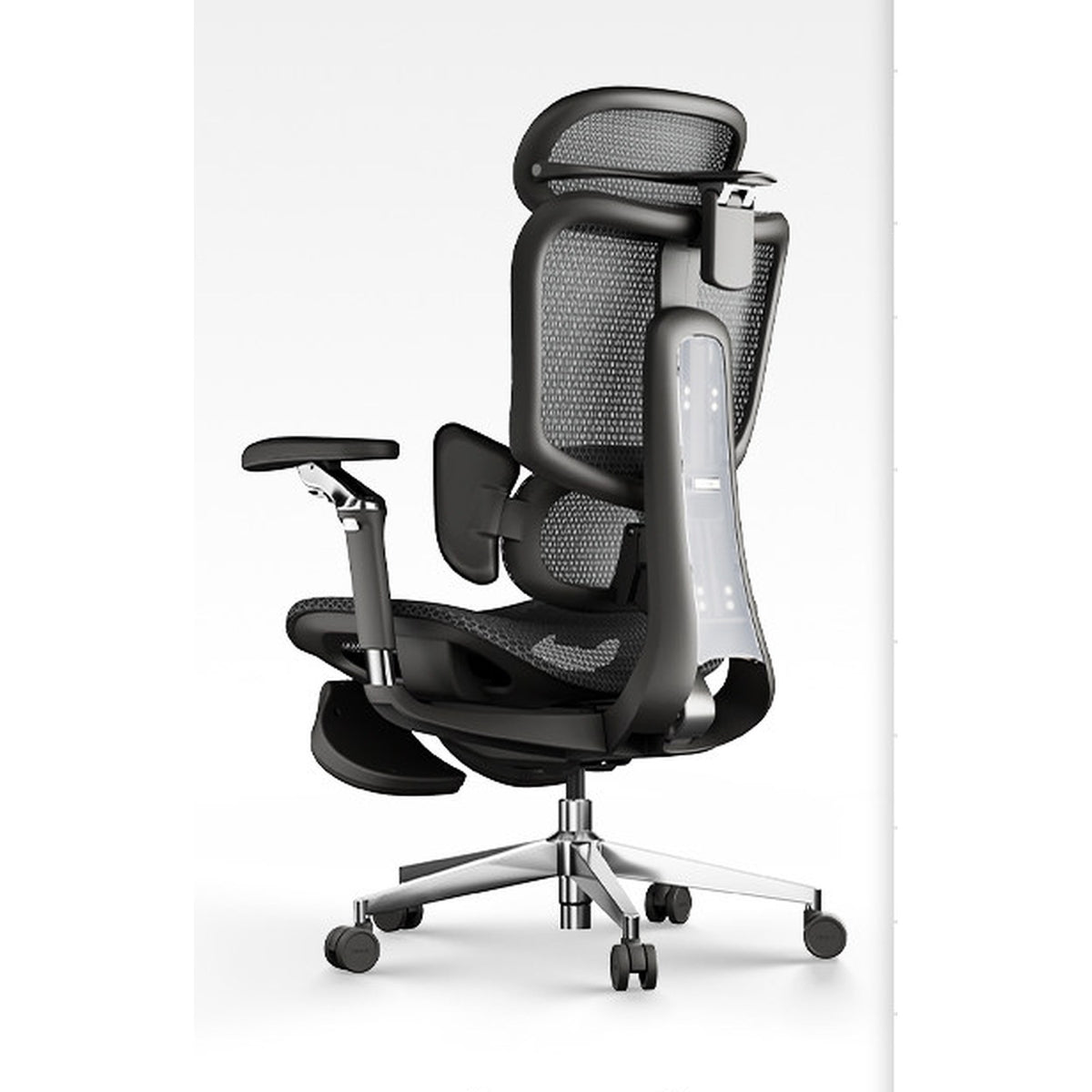 HomeWorker × Black & White E3 Pro 5th Gen 3-Zone Dynamic Lumbar Support Chair — image 2