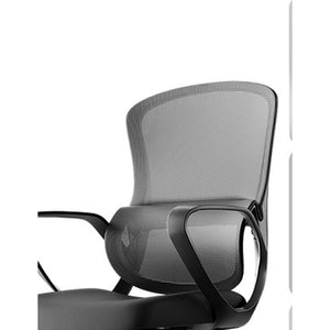 HomeWorker x Black & White Tone P1 Air Curved Independent Lumbar Support Ergonomic Chair — image 1