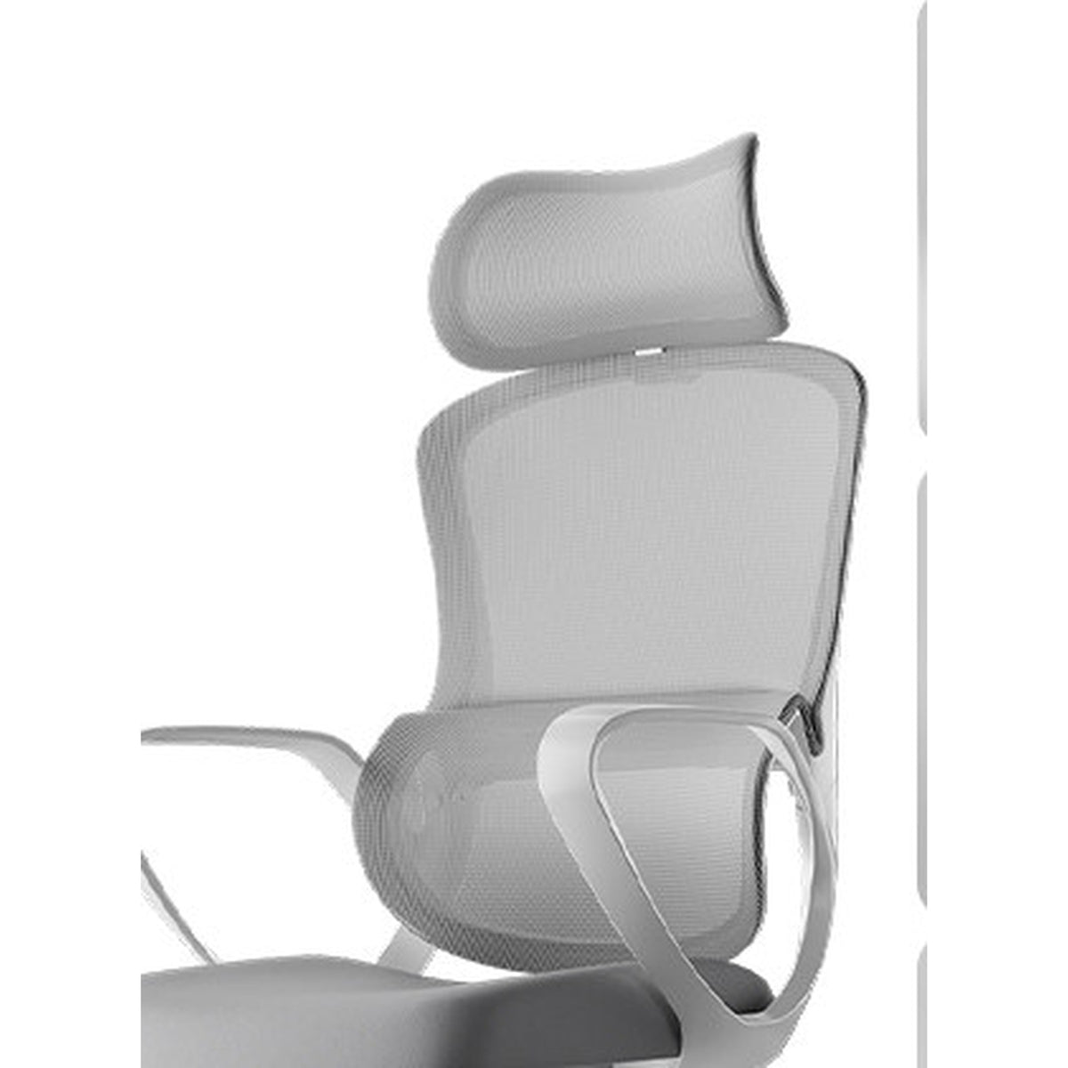HomeWorker x Black & White Tone P1 Air Curved Independent Lumbar Support Ergonomic Chair — image 2