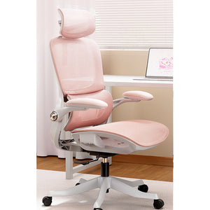HomeWorker × Black & White Tune P2 Pro Second Generation Ergonomic Chair with Soft Colors — image 3