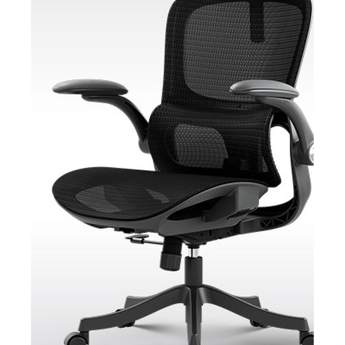 HomeWorker x Black and White Tone P2 Pro/Pro+ II Ergonomic Chair — image 2