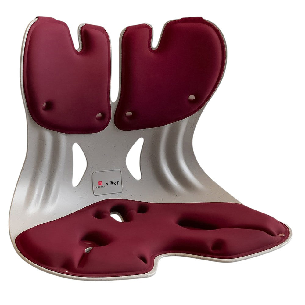 BKT Lumbar Support & Seat Cushion | Extended | For Body Weights 50–75kg — image 11