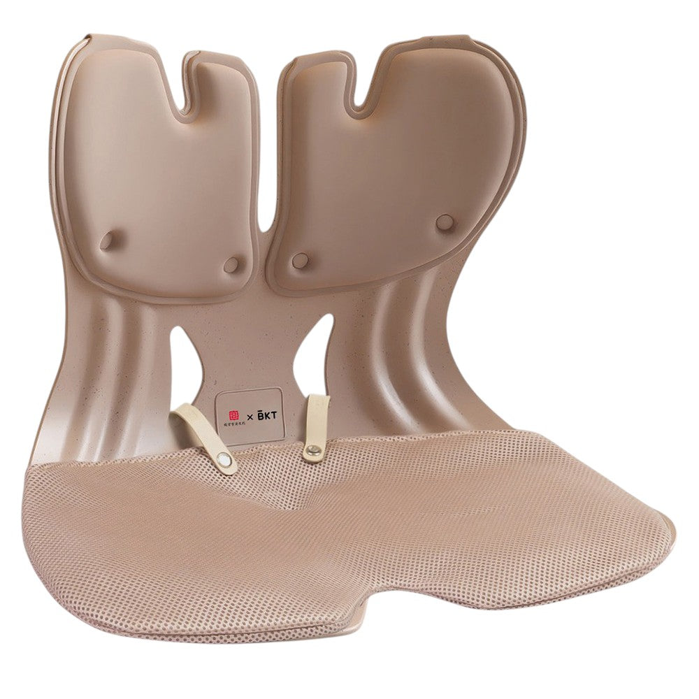 BKT Lumbar Support & Seat Cushion | Extended | For Body Weights 50–75kg — image 14