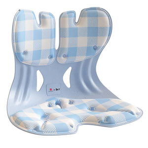 BKT Lumbar Support & Seat Cushion | Extended | For Body Weights 50–75kg — image 9
