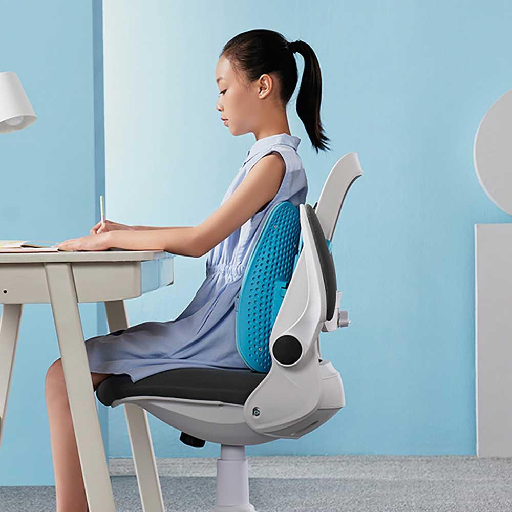 LERAVAN Butterfly Adjustable Office Chair Lumbar Support - Blue — image 6