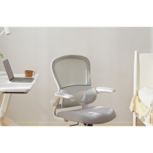 HomeWorker × Eight or Nine Y5 Yuanqi 3D Lumbar Support Ergonomic Chair — image 1