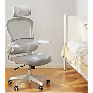 HomeWorker × Eight or Nine Y5 Yuanqi 3D Lumbar Support Ergonomic Chair — image 2
