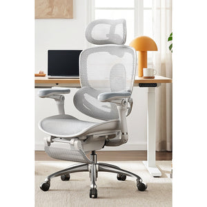 西昊 C300 Pro 二代人體工學椅｜HomeWorker 香港到倉 QC — image 1