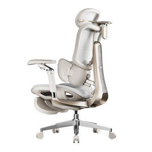 HomeWorker × 黑白調 E3 Ultra 5th Generation Smart Lumbar Support Ergonomic Chair — image 1
