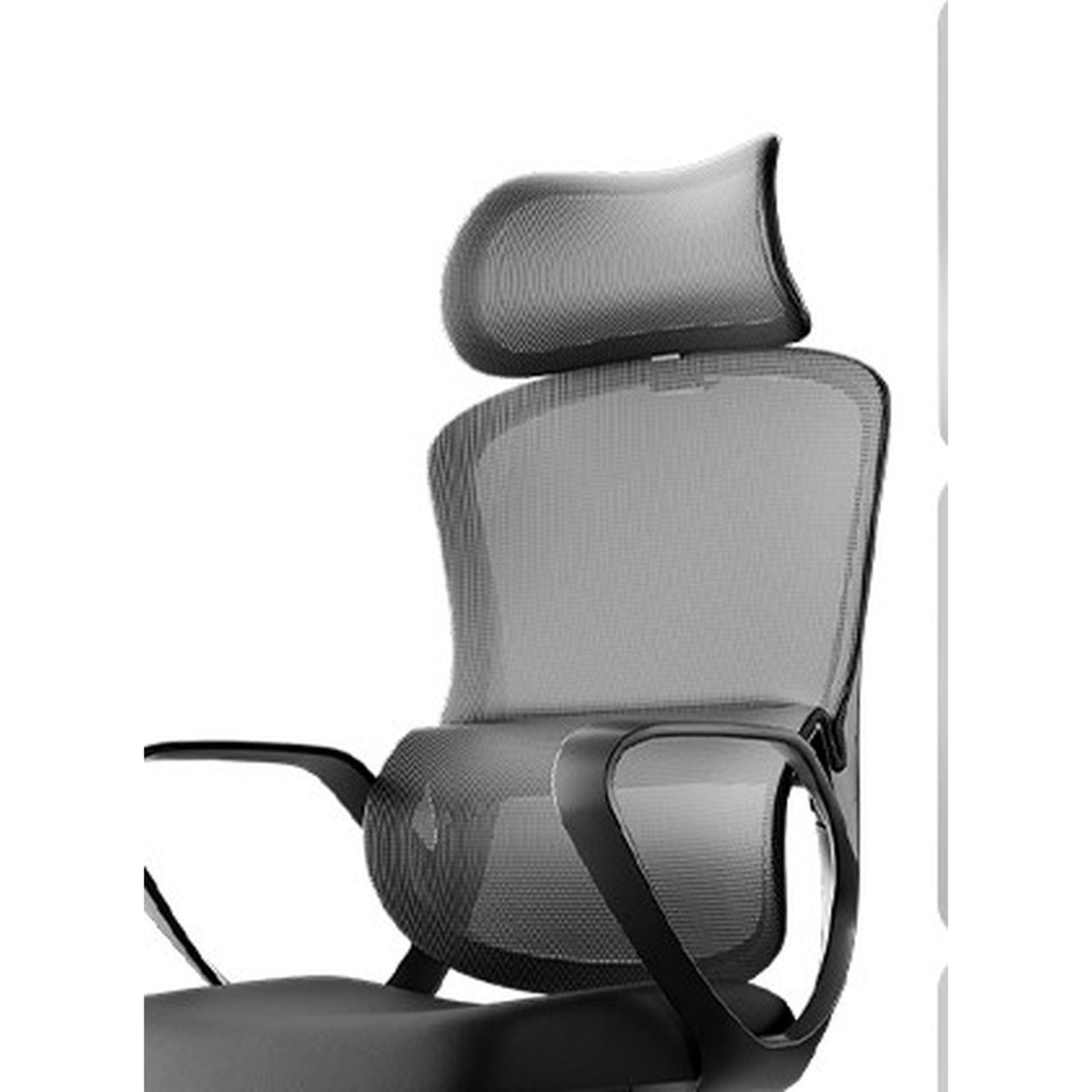 HomeWorker x Black & White Tone P1 Air Curved Independent Lumbar Support Ergonomic Chair — image 3