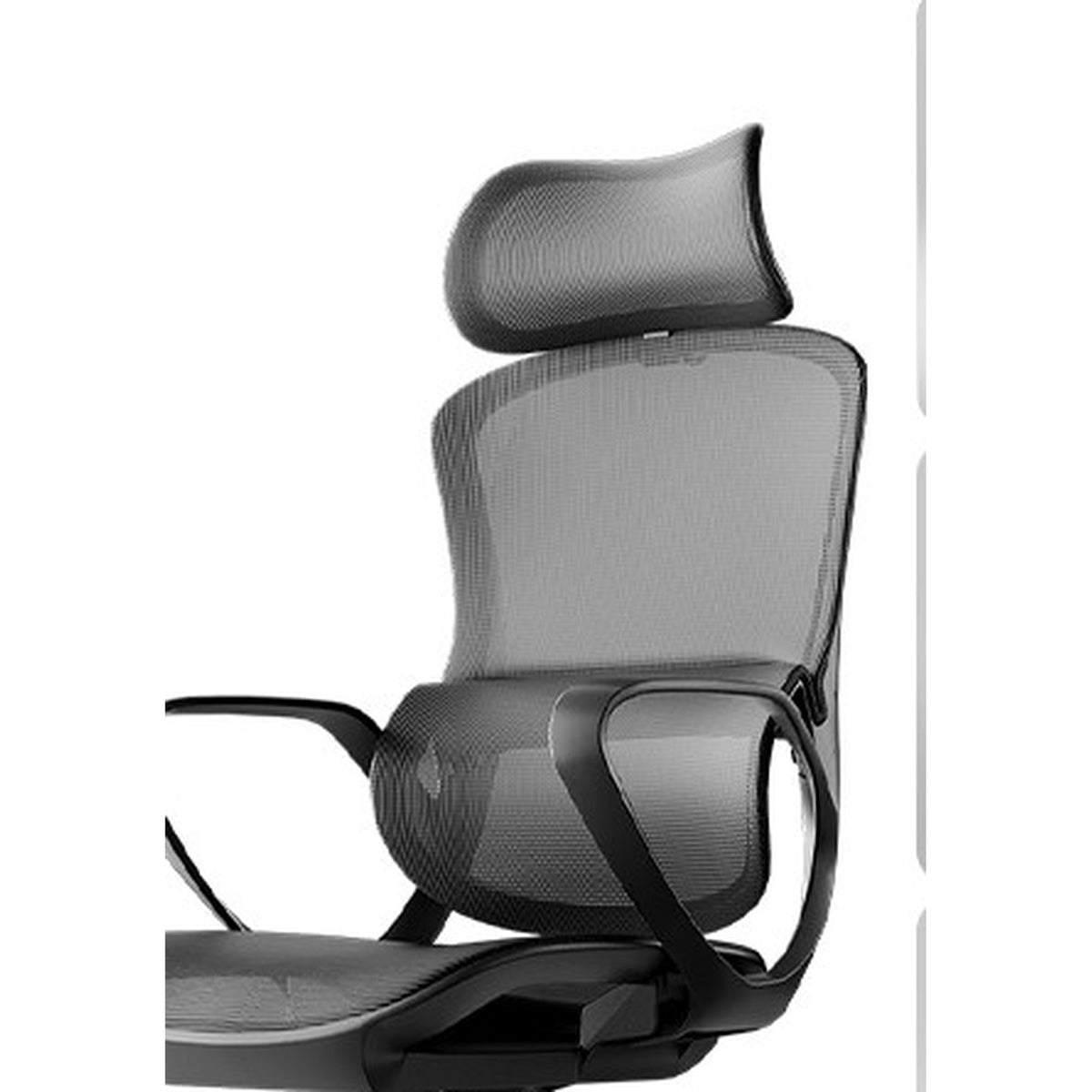 HomeWorker x Black & White Tone P1 Air Curved Independent Lumbar Support Ergonomic Chair — image 5
