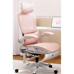 HomeWorker × Black & White Tune P2 Pro Second Generation Ergonomic Chair with Soft Colors — image 4