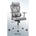 HomeWorker WalkerFlex Pro Multi-Dimensional Support Mesh Chair